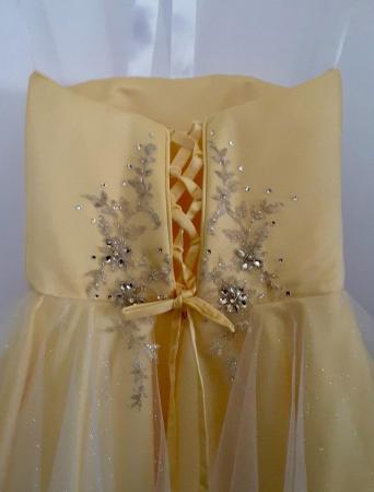 Image 3 of Junior P7 Prom / party dress in satin & sparkle organza