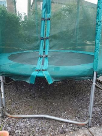 Image 2 of Trampoline and enclosure 6ft