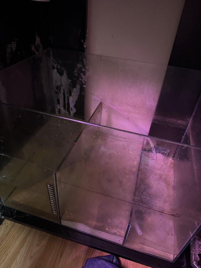 Preview of the first image of Aqua One Mini Reef and sump.