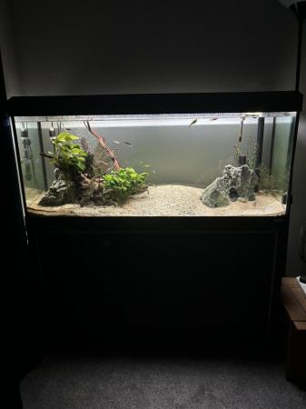 Image 5 of Fluval fish tank with everything in photos