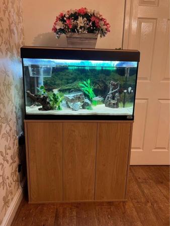 Image 5 of Fluval Roma 125 fish tank with cabinet stand