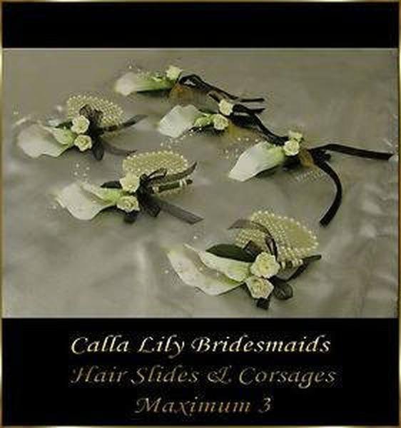 Preview of the first image of Lisa 3 Bridesmaids Hair Slides & Corsages.