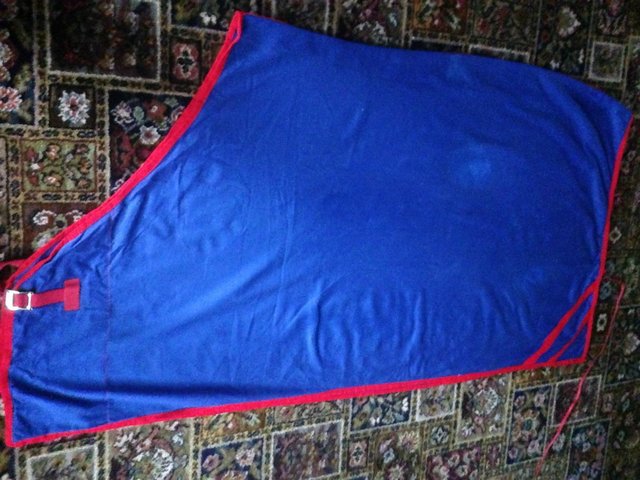 Preview of the first image of HORSE Summer lightweight sheet 5 foot. +Surcingle..