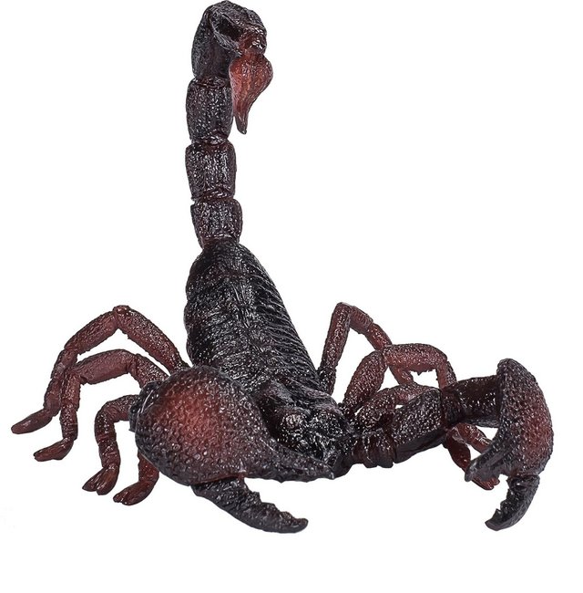 Preview of the first image of Emperor Scorpion or Imperial Scorpion.
