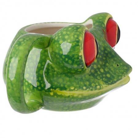 Image 3 of Ceramic Shaped Head Mug - Tree Frog. Free uk postage
