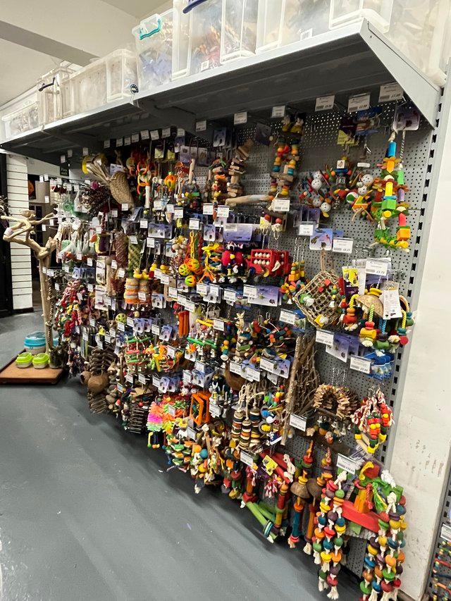 Preview of the first image of 100s of bird toys, cages, foods etc at Urban Exotics.