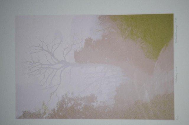 Image 3 of Rare Signed Screen Print By Richard Jennings Osterley Lane