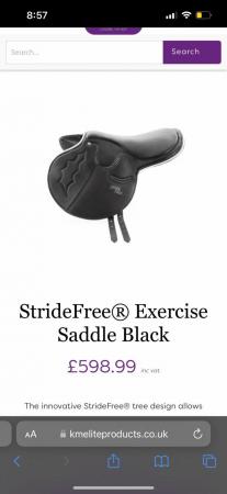 Image 2 of stride free exercise saddle 500£