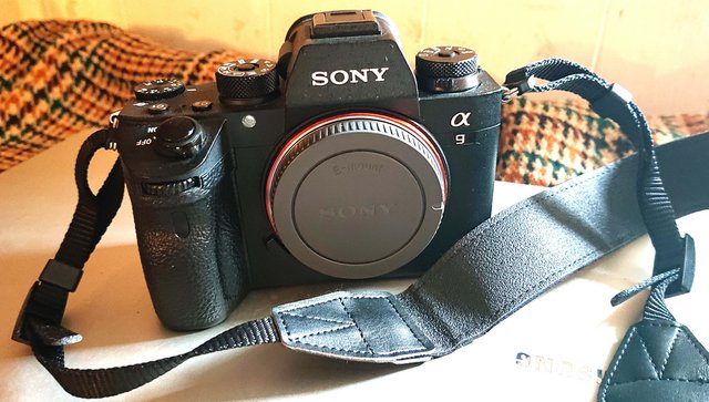 Image 3 of Sony Alpha A9 Mirrorless Camera