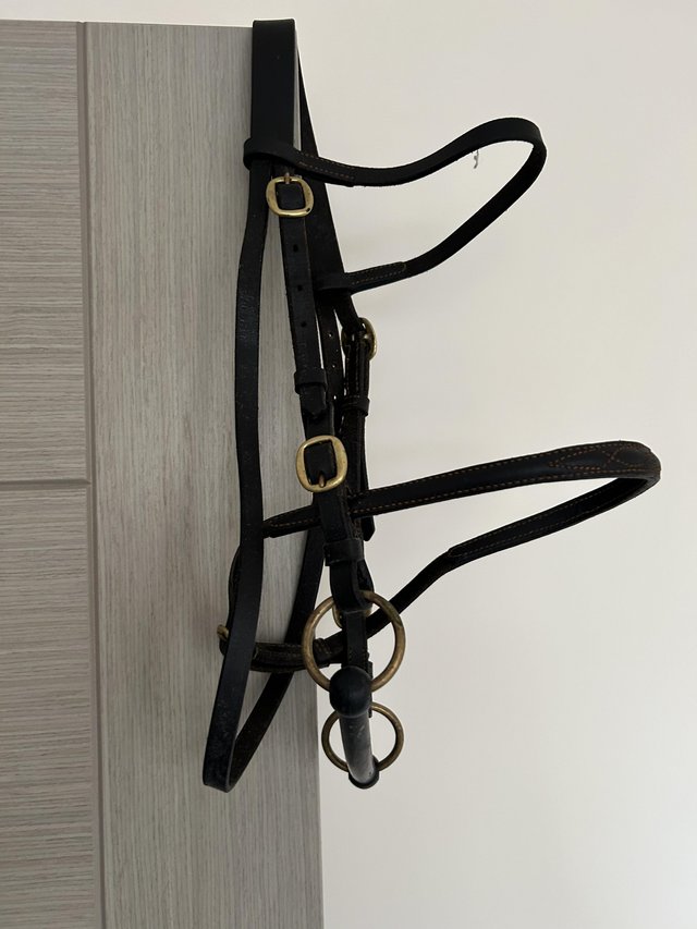 Preview of the first image of Inhand pony bridle excellent condition.
