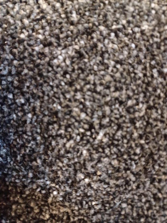 Preview of the first image of SUPER QUALITY THICK CARPET.