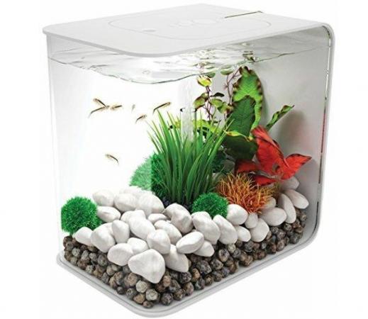 Image 4 of Fish Tanks Available At The Marp Centre