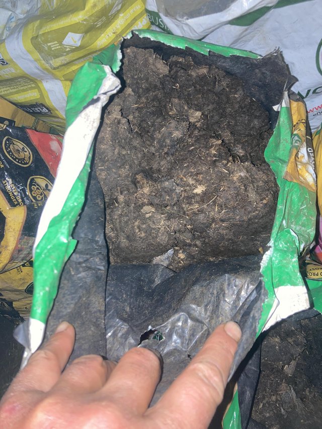 Preview of the first image of Free horse manure;bring a bag and fill it.