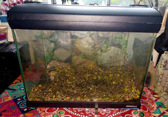Image 5 of Small tank for sale in used condition