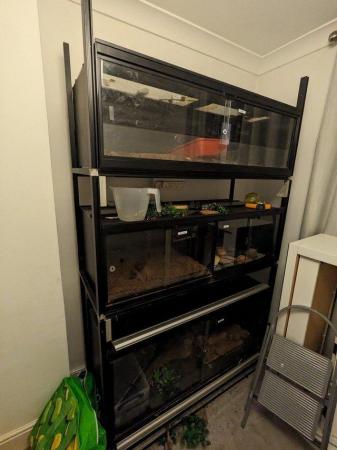 Image 3 of Racking system with vivariums