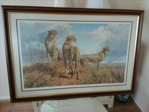 Image 2 of WILDLIFE SIGNED LIMITED EDITION PRINT COLLECTION # FRAMED