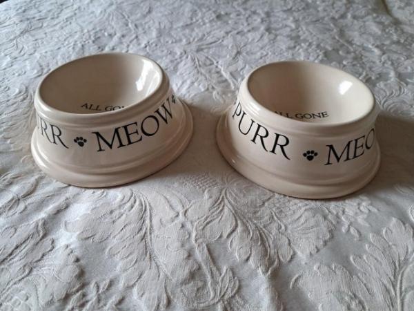 Image 5 of ELEVATED CAT FEEDING BOWLS BY BOSTON WAREHOUSE