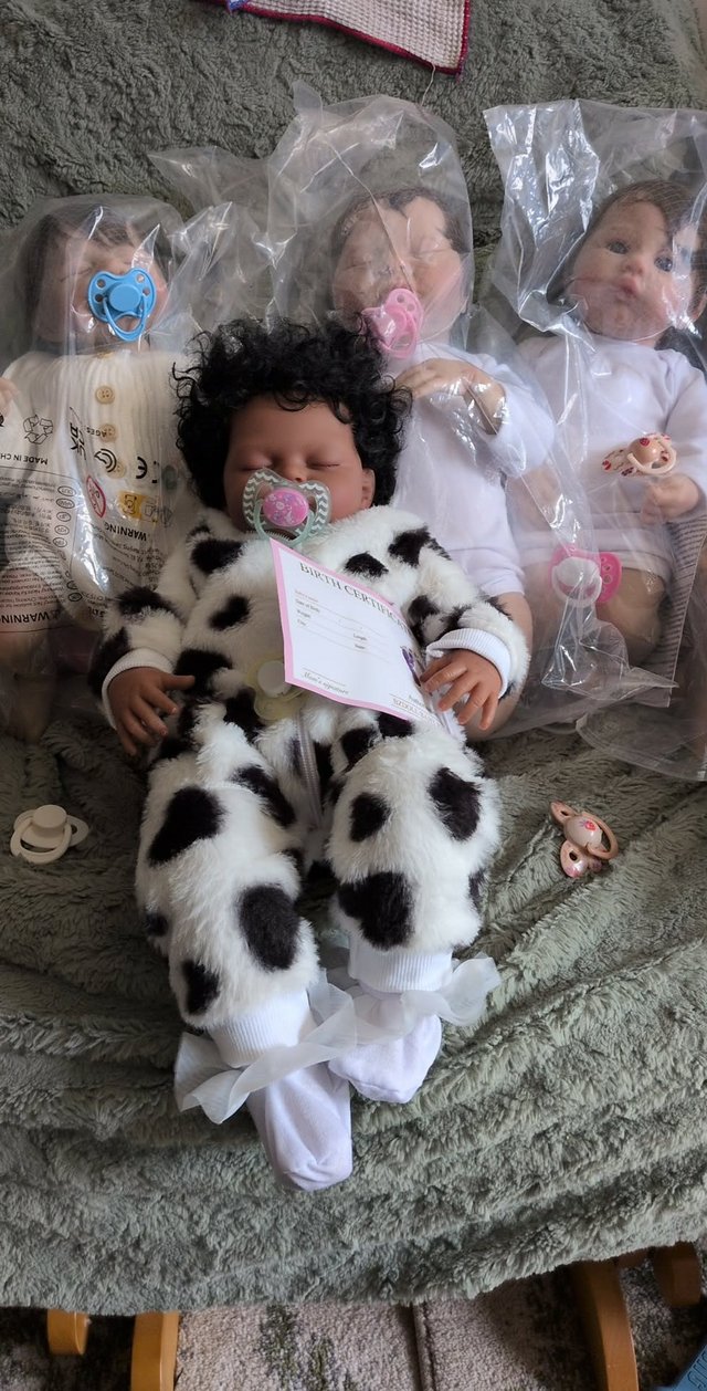 An assortment of brand new reborn dolls — Pets & Animals in Clacton-on-Sea