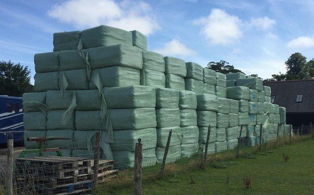 Image 4 of Quality Horse Haylage 250kg bale