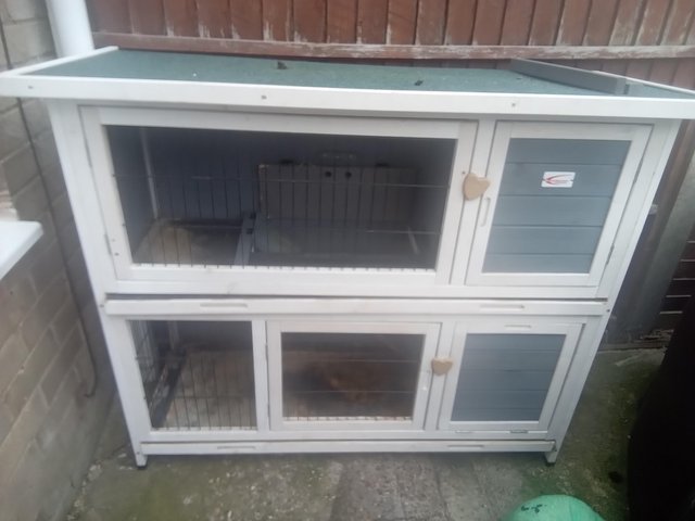 Preview of the first image of rabbit, guinea-pig,  hutch, cage indoor or outdoor.