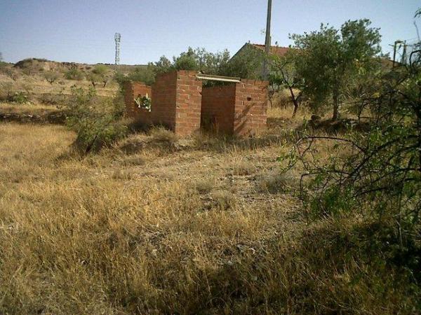 Image 31 of Spanish Country House With Land, Outbuildings, Cave + More