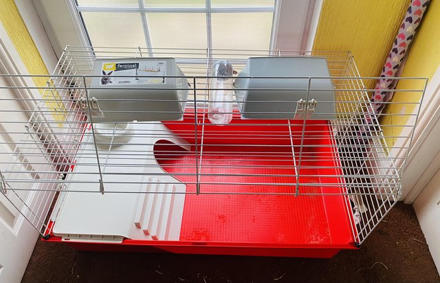 Image 1 of Indoor cage & full setup for sale