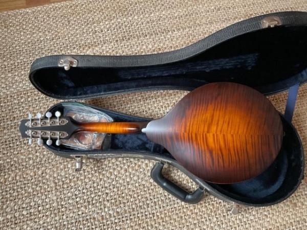 Image 2 of Pava professional mandolin