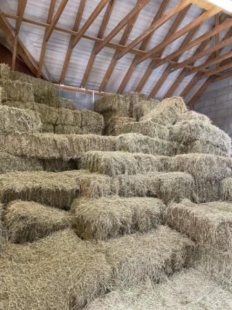 Image 1 of Quality Small Hay Bales for horses