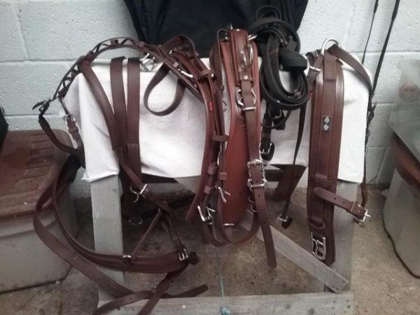 Image 3 of Zilco Classic harness Brown Full size