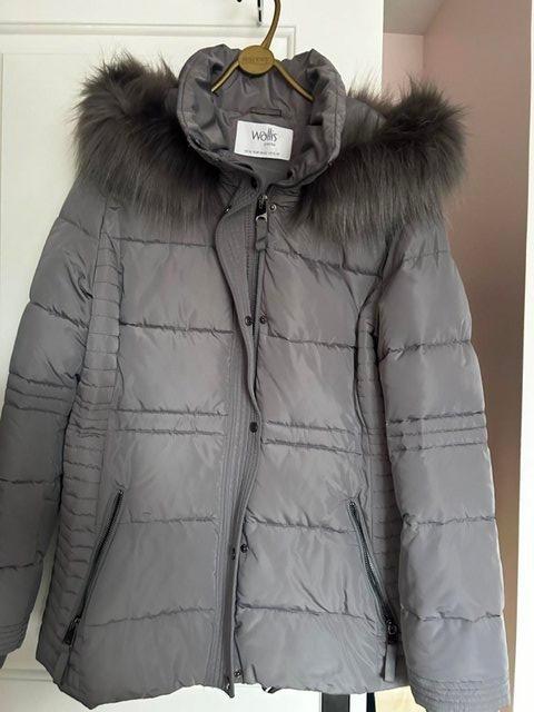 Preview of the first image of Ladies Wallis Petite Padded Coat Size M.