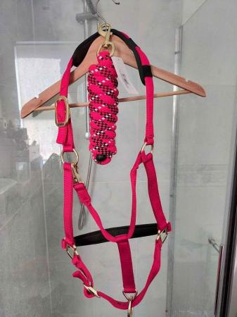 Image 1 of Read HY Headcollar and matching Lead rope in Red and White