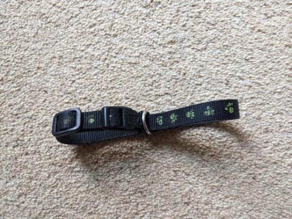 Image 6 of Collar for Puppies or small dog - adjustable