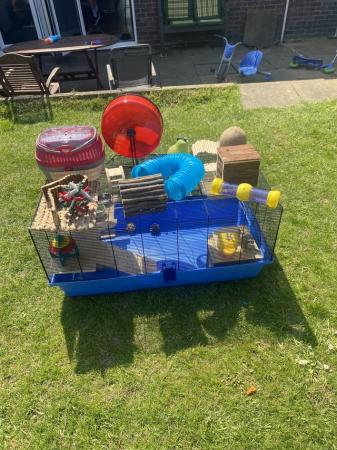 Image 4 of Hamster/gerbil cage and accessories