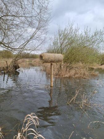 Image 1 of Sporting & Conservation rights Wanted