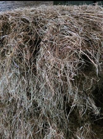 Image 2 of For sale 2023 season round bales of hay