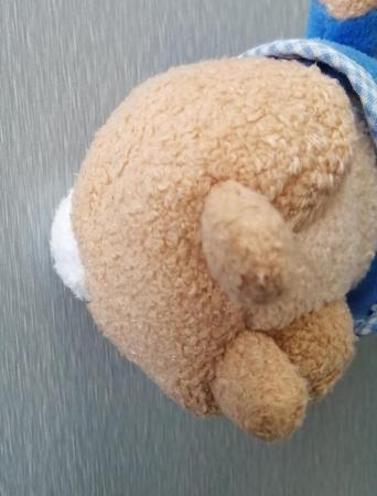 Image 9 of A Small Peter Rabbit Soft Toy. This is Peter Rabbit Himself