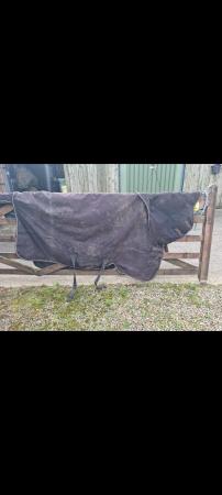 Image 3 of Premier equine and other rugs for sale
