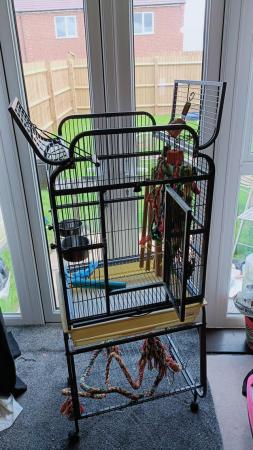 Image 5 of Parrot cage with accessories & toys