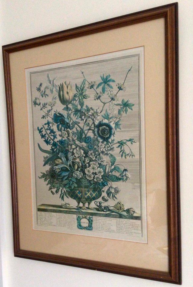Preview of the first image of OLD BOTANICAL PRINT ( unsigned).