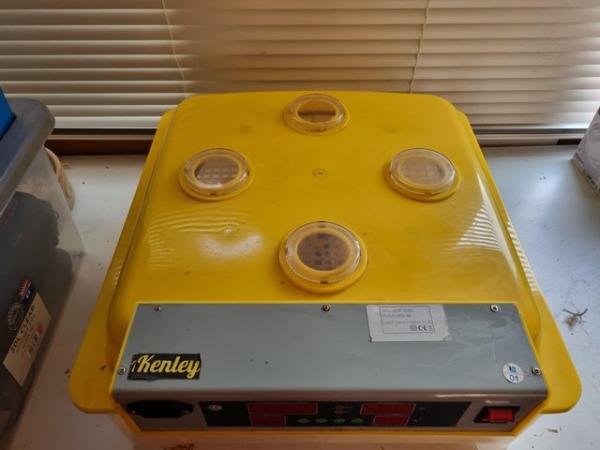 Image 2 of Kenley 48 egg incubator. Very little used