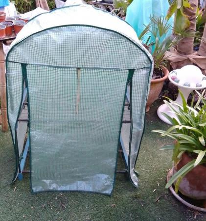 Image 13 of Mini Greenhouse for Plants & Seedlings