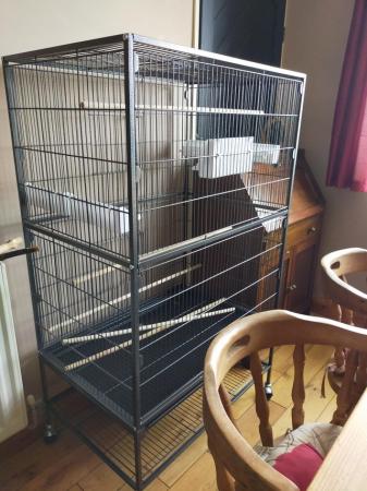 Image 4 of Large metal bird cage X2
