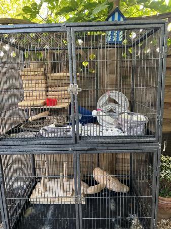 Image 1 of Rat cage and accessories