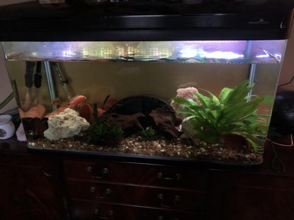 Image 4 of Tank and full setup as seen in oictures