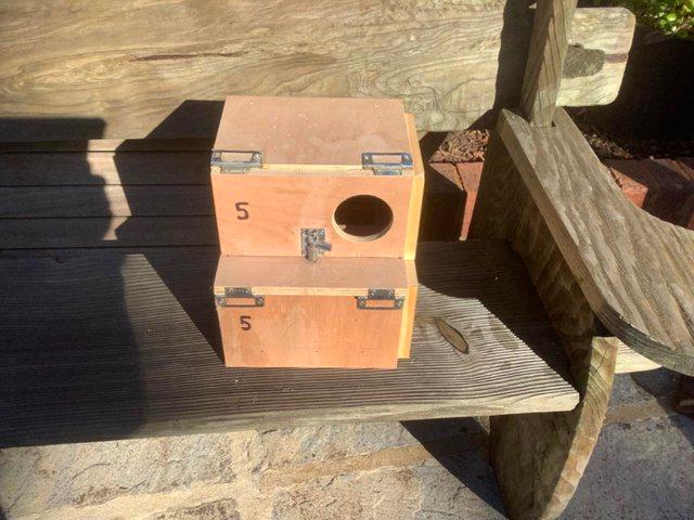 Preview of the first image of Nest Boxes for Love Birds or Small Parrots.