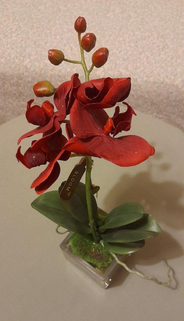 Preview of the first image of NEW deep red Orchid ornament in solid glass pot.