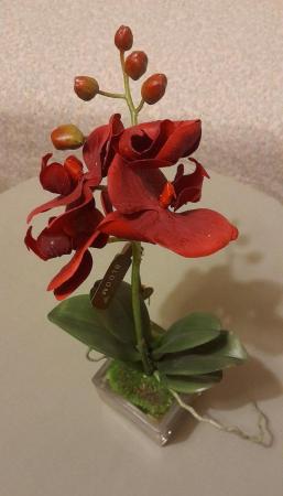 Image 1 of NEW deep red Orchid ornament in solid glass pot