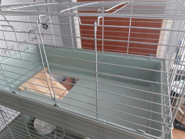 Image 3 of Small Animal double tier indoor cage,