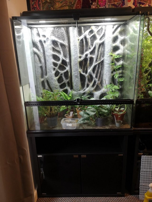 Preview of the first image of Large X-Tall Exoterra Paludarium / Terrarium / Enclosure.