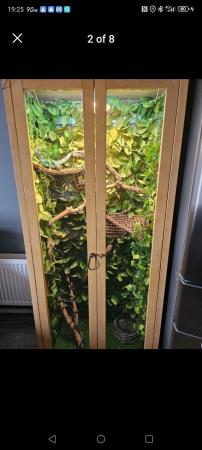 Image 5 of Arboreal Vivarium with everything included